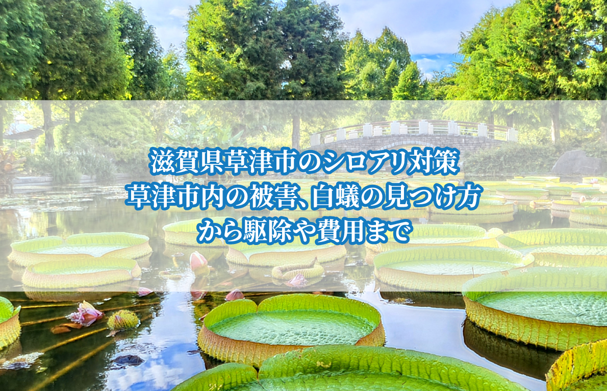 滋賀県草津市のシロアリ対策