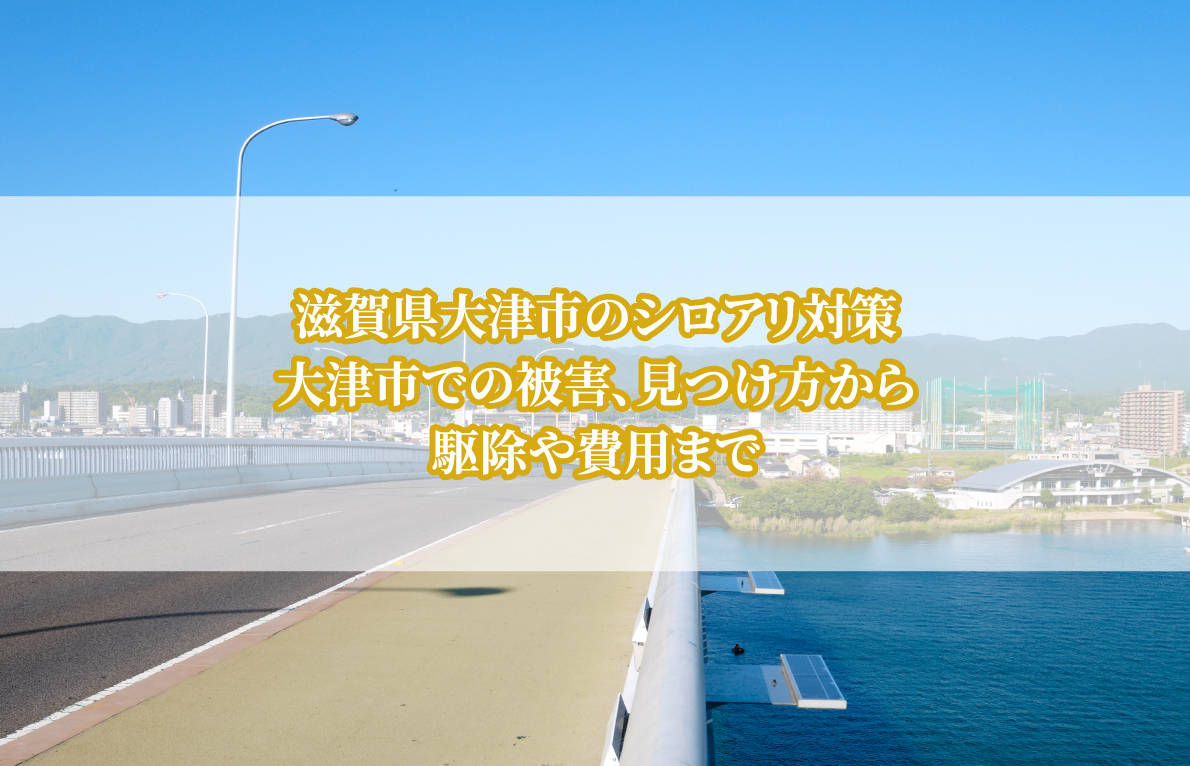 滋賀県大津市のシロアリ被害と対策