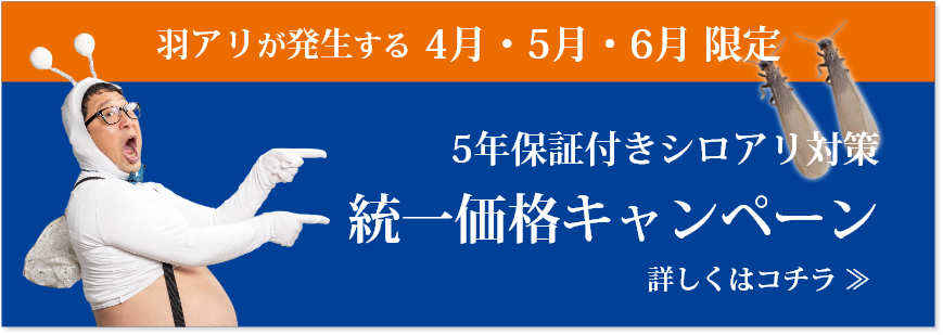 中部白蟻研究所統一価格キャンペーン